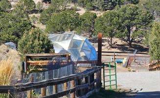johny R.'s photo of camping with pets at Mountain Goat Lodge near Howard, CO