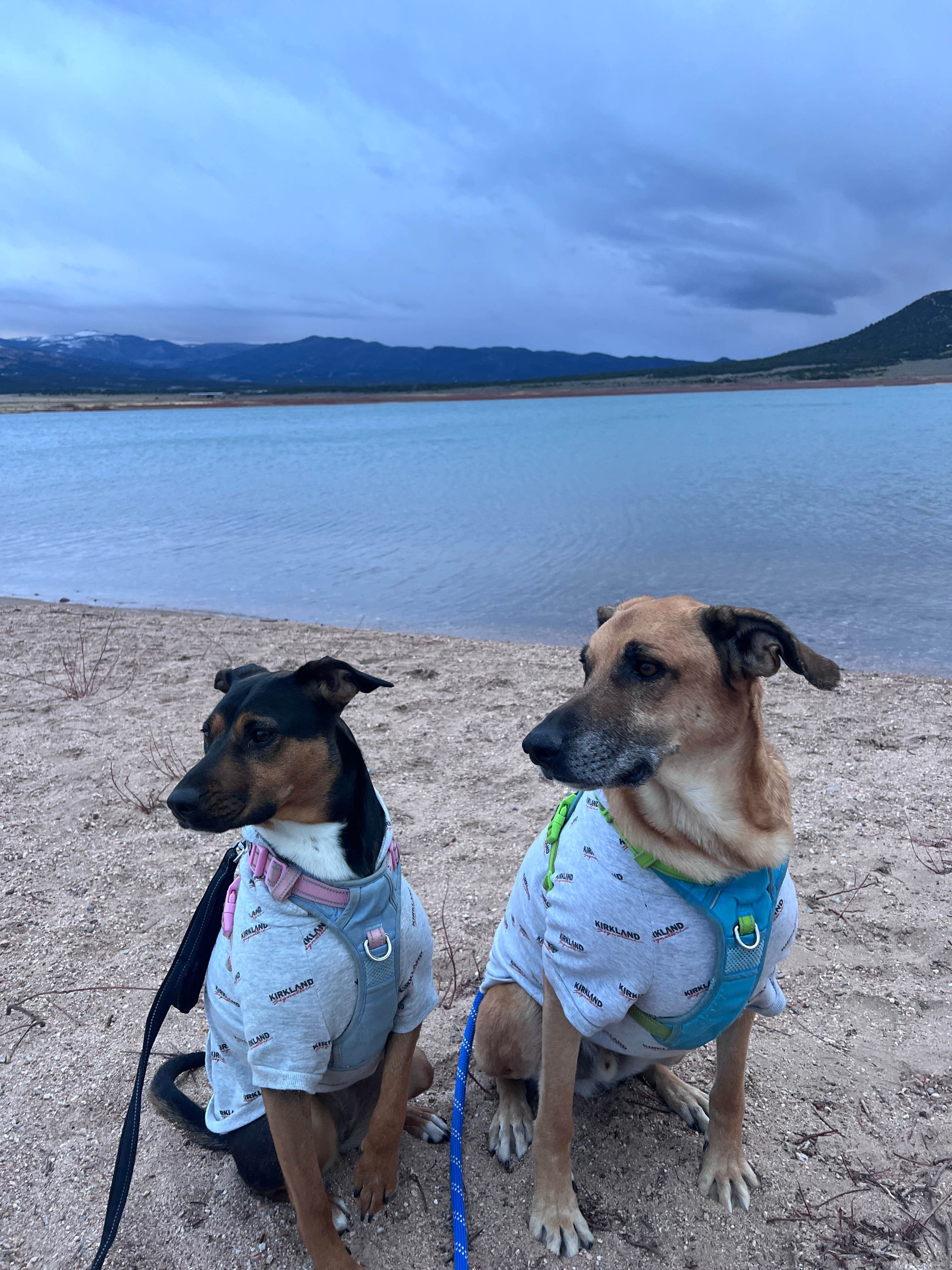 Camper submitted image from Mountain Home Reservoir - 2