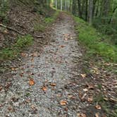 Review photo of Mountain Lake Campground and Cabins by Tamara W., September 16, 2025