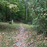 Review photo of Mountain Lake Campground and Cabins by Tamara W., September 16, 2025