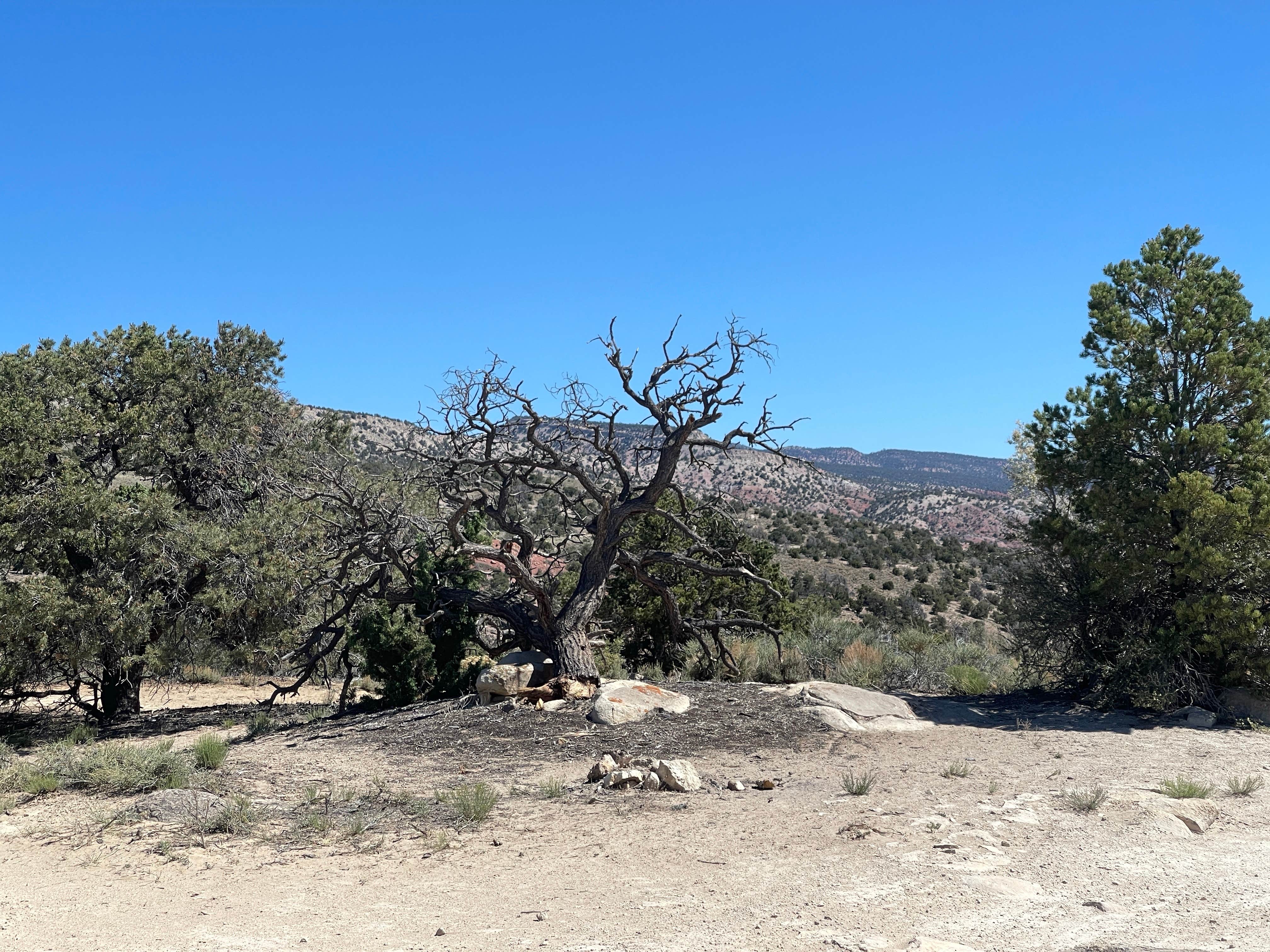 Camper-submitted photo at Mountain Mecca near Sigurd, UT