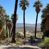 Review photo of Mountain Palm Springs Camp by Andy B., October 14, 2023