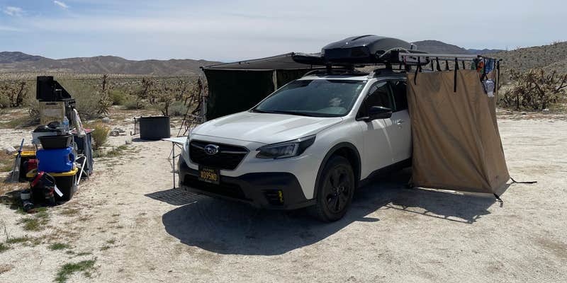 Camper submitted image from Mountain Palm Springs Camp