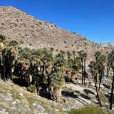 Review photo of Mountain Palm Springs Camp by Andy B., October 14, 2023