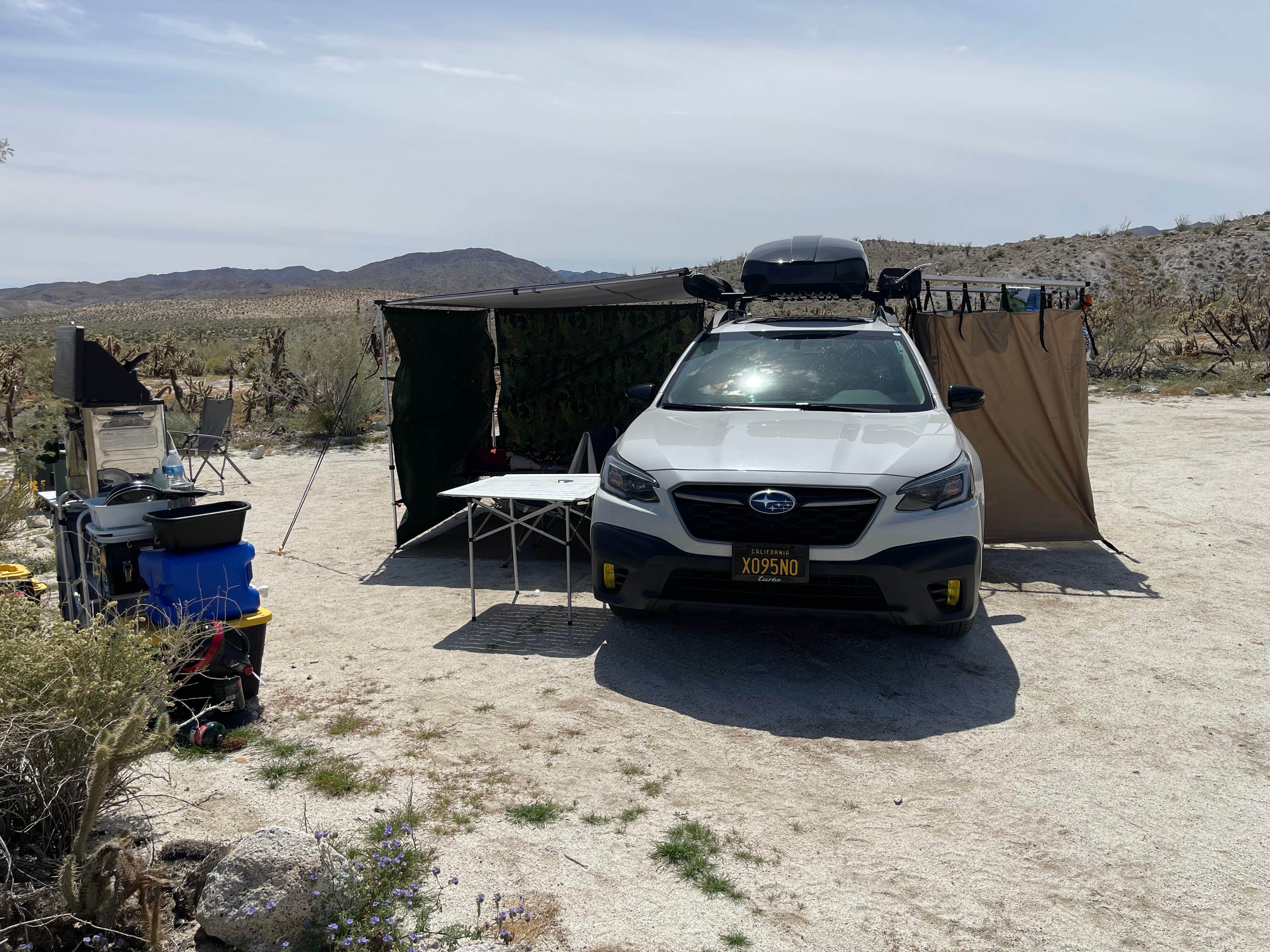 Camper submitted image from Mountain Palm Springs Camp - 2