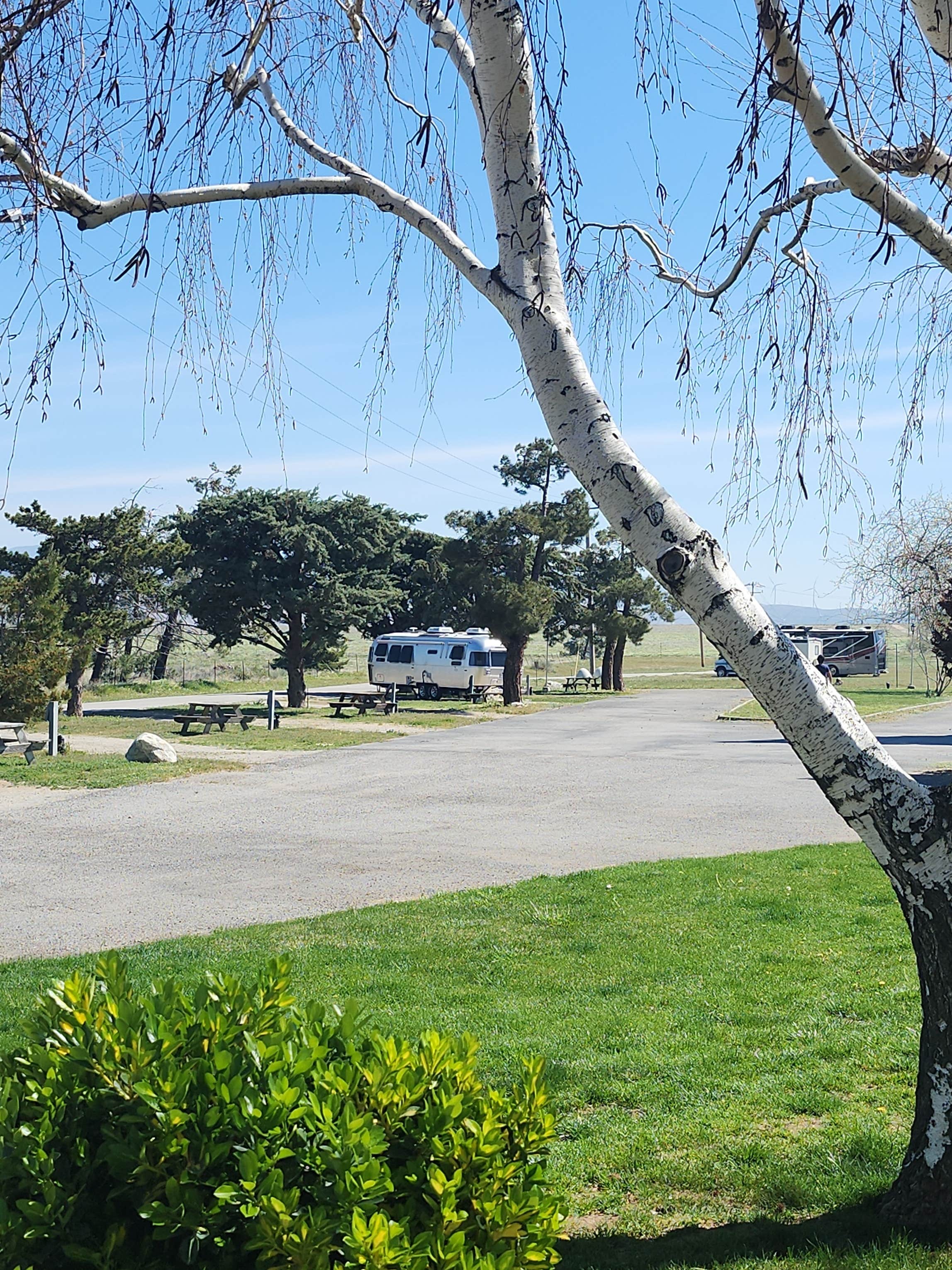 Camper-submitted photo at Mountain Valley RV Park near Mojave, CA
