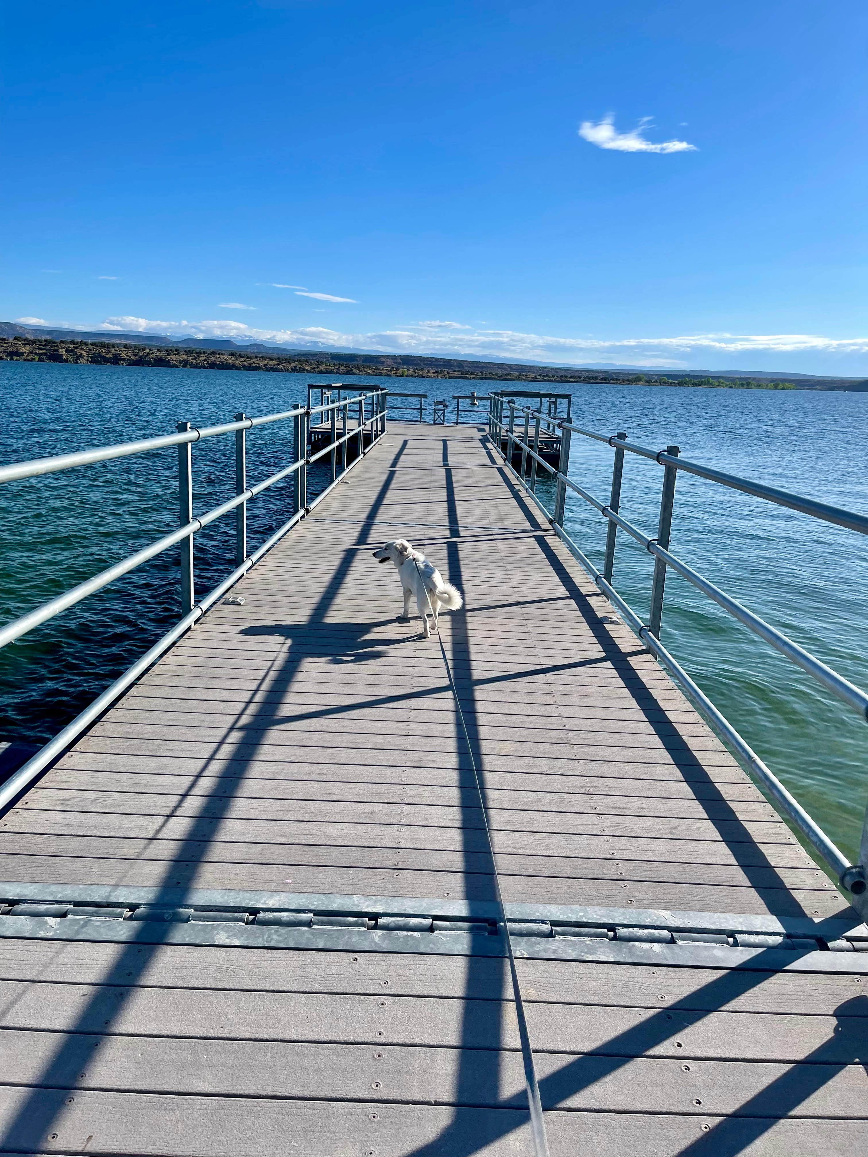 Robert H.'s photo of camping with pets at Mountain View Campground — Fred Hayes State Park at Starvation near Roosevelt, UT
