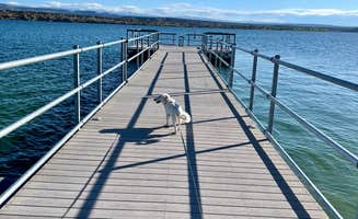Robert H.'s photo of camping with pets at Mountain View Campground — Fred Hayes State Park at Starvation near Altamont, UT