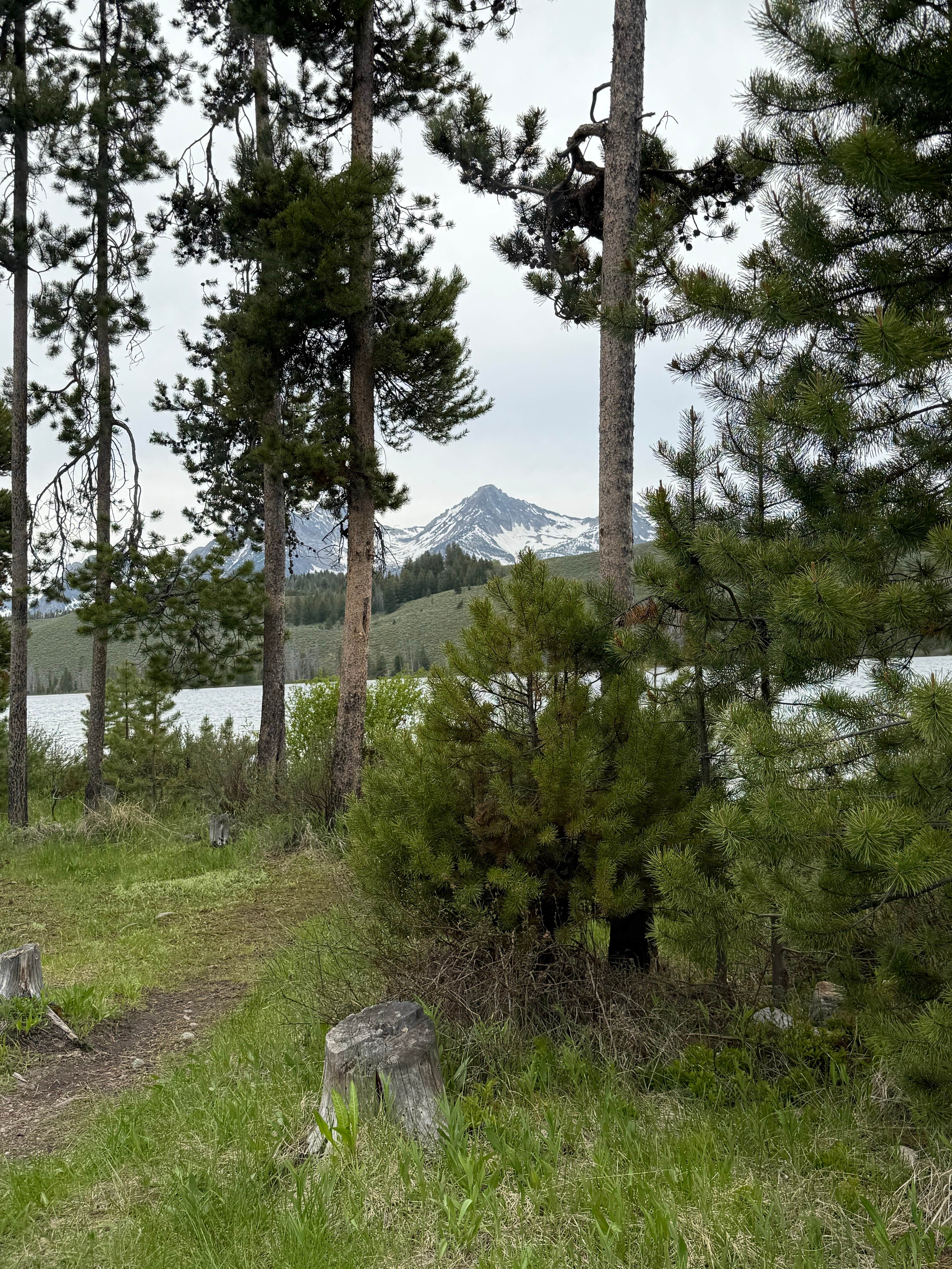 Camper submitted image from Mountain View Campground — Sawtooth National Forest - 1