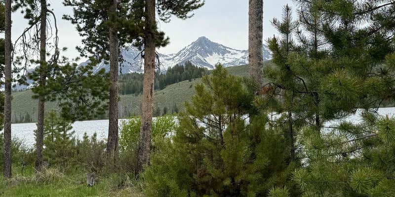 Camper submitted image from Mountain View Campground — Sawtooth National Forest