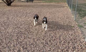Joel R.'s photo of camping with pets at Mountain View RV Park near Patagonia, AZ