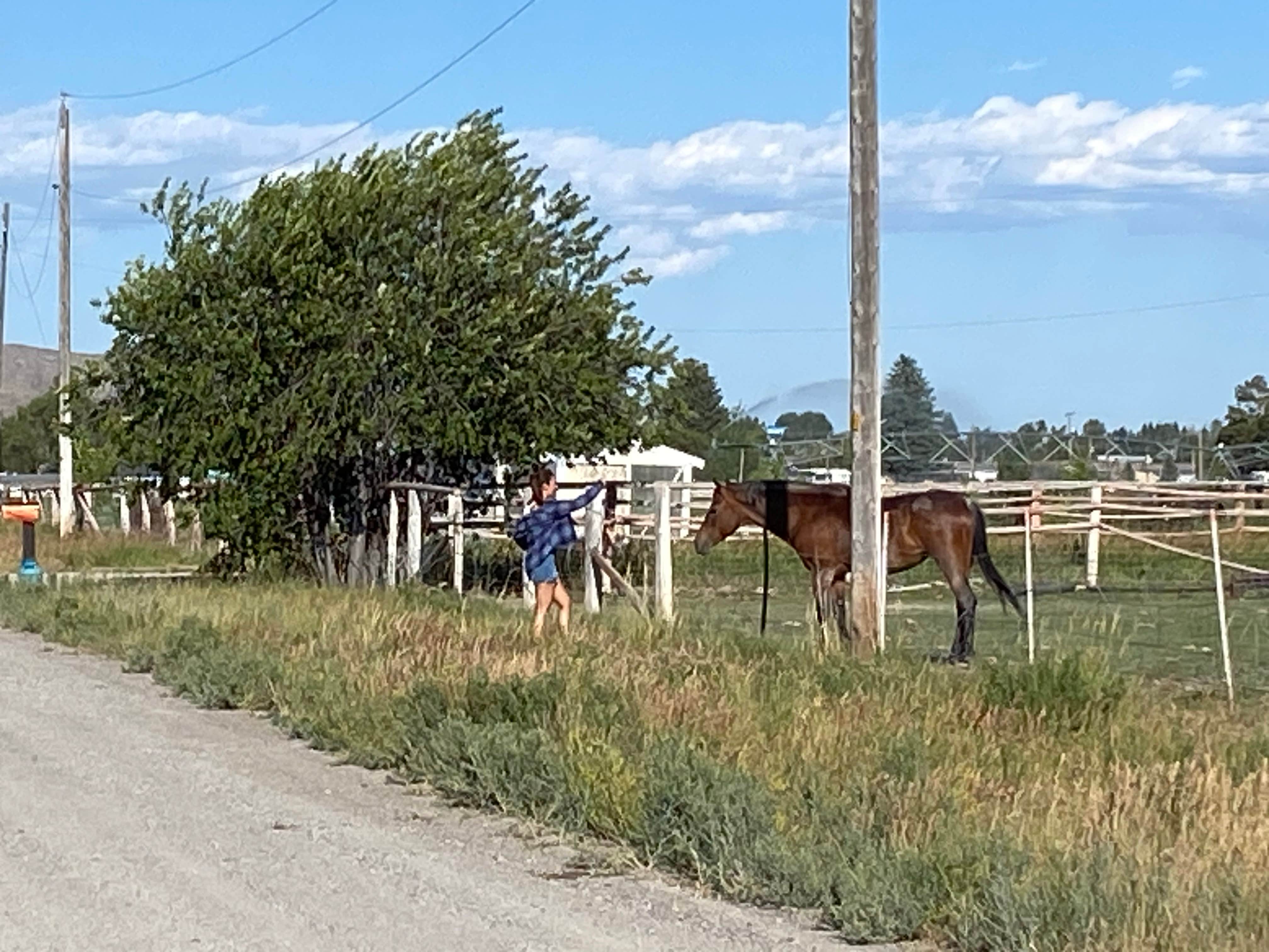 Camper submitted image from Mountain View RV Park - 5