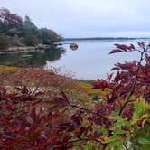 Review photo of Acadia Seashore Camping and Cabins by Ioan P., September 30, 2024