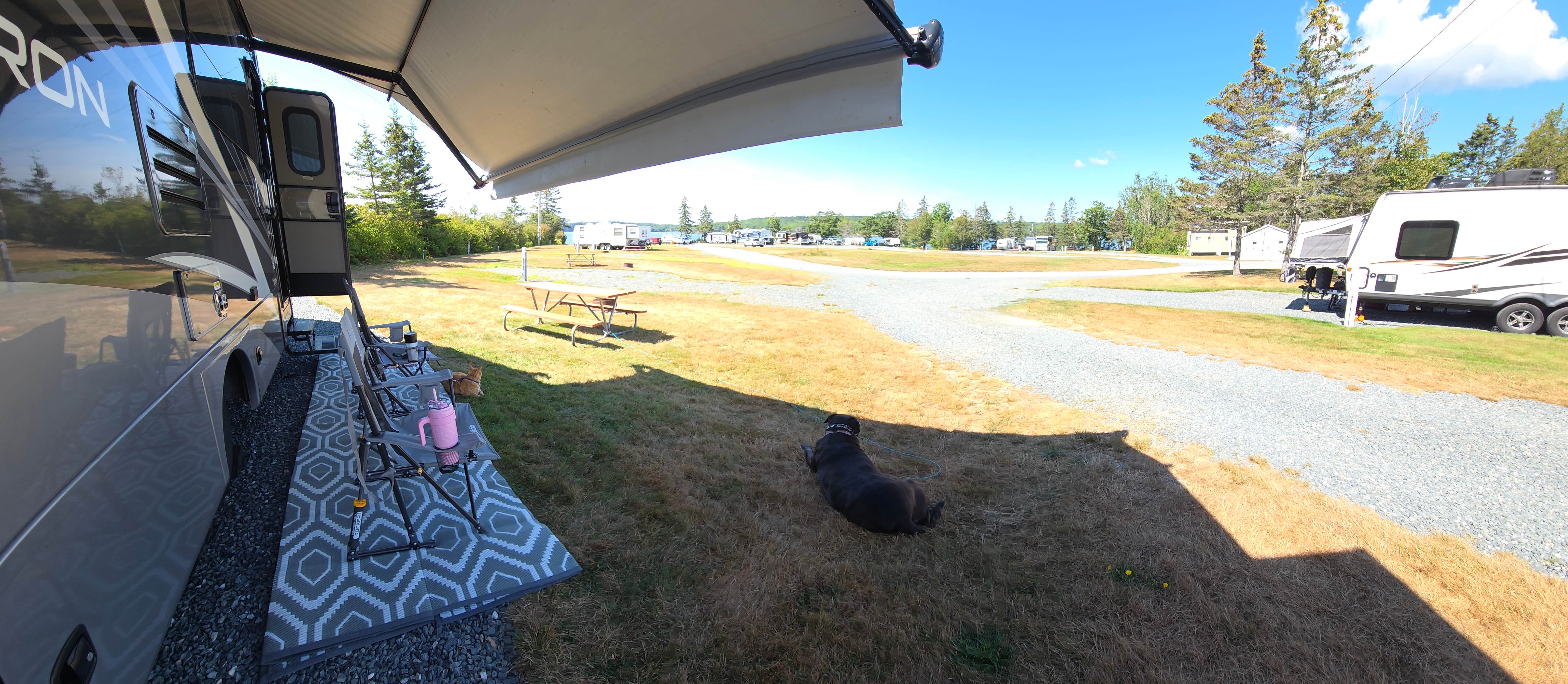 Snooz H.'s photo at Acadia Seashore Camping and Cabins near Winter Harbor, ME
