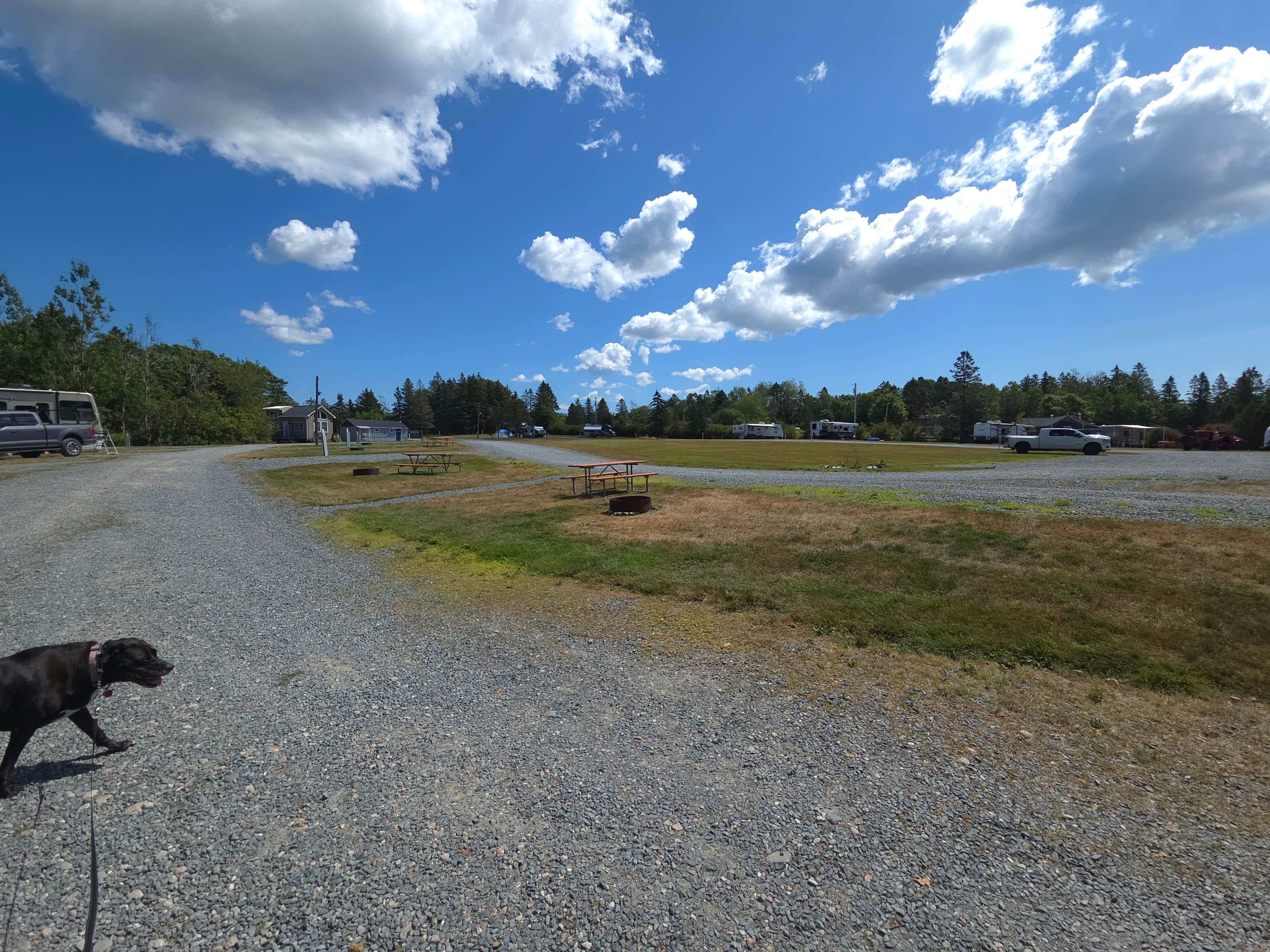 Snooz H.'s photo of camping with pets at Acadia Seashore Camping and Cabins near Sorrento, ME