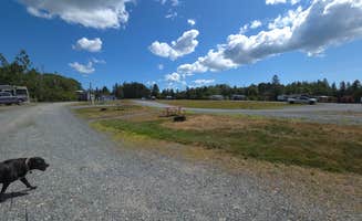 Snooz H.'s photo of camping with pets at Acadia Seashore Camping and Cabins near Sorrento, ME
