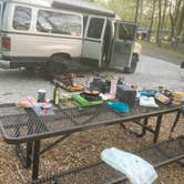 Review photo of Spring Creek Primitive Campground — Mousetail Landing State Park by Lucy P., April 14, 2024