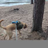 Review photo of Mouth of the Huron Dispersed Camping by Rick M., September 20, 2025