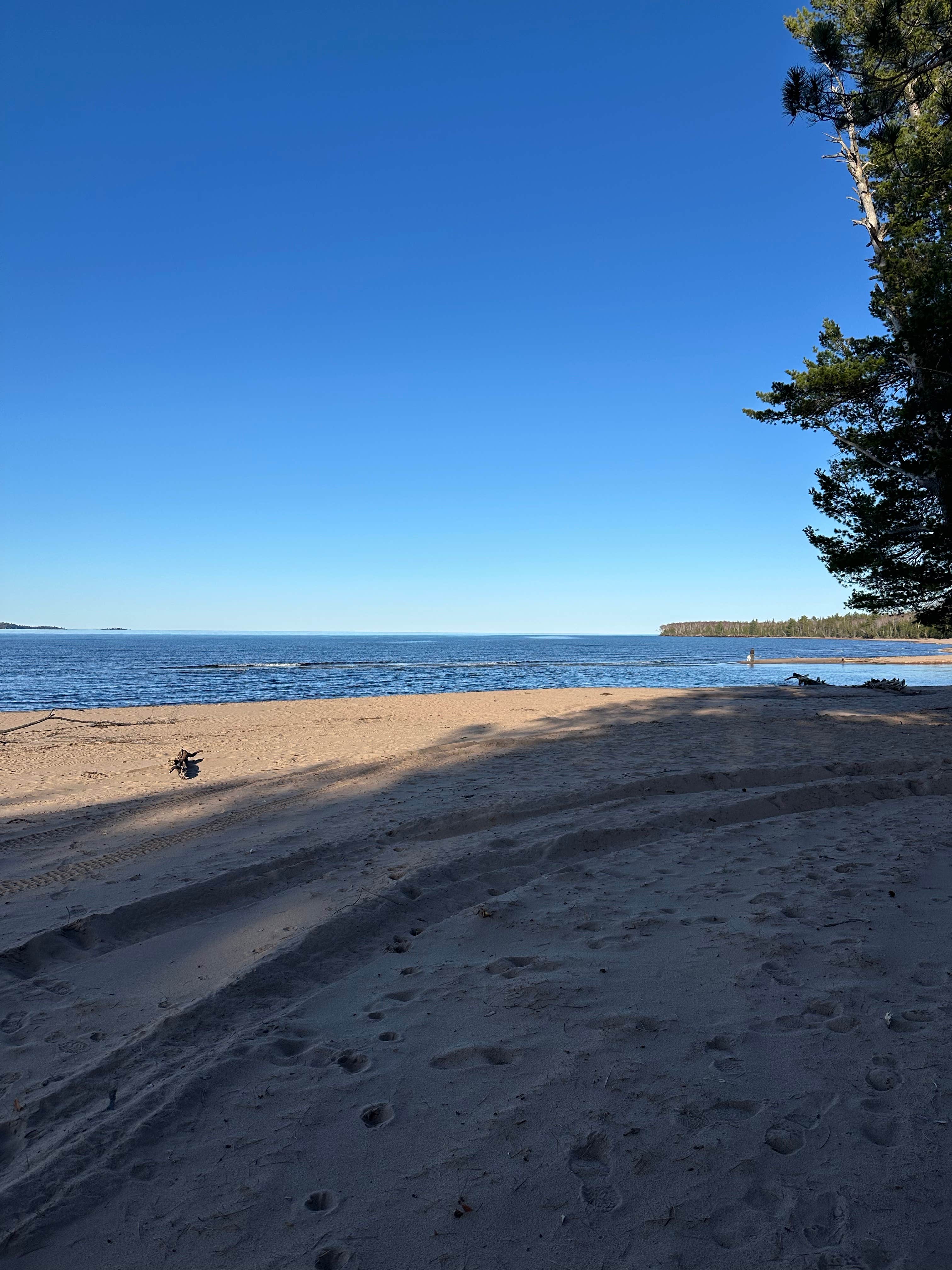 Camper submitted image from Mouth of the Huron Dispersed Camping - 4