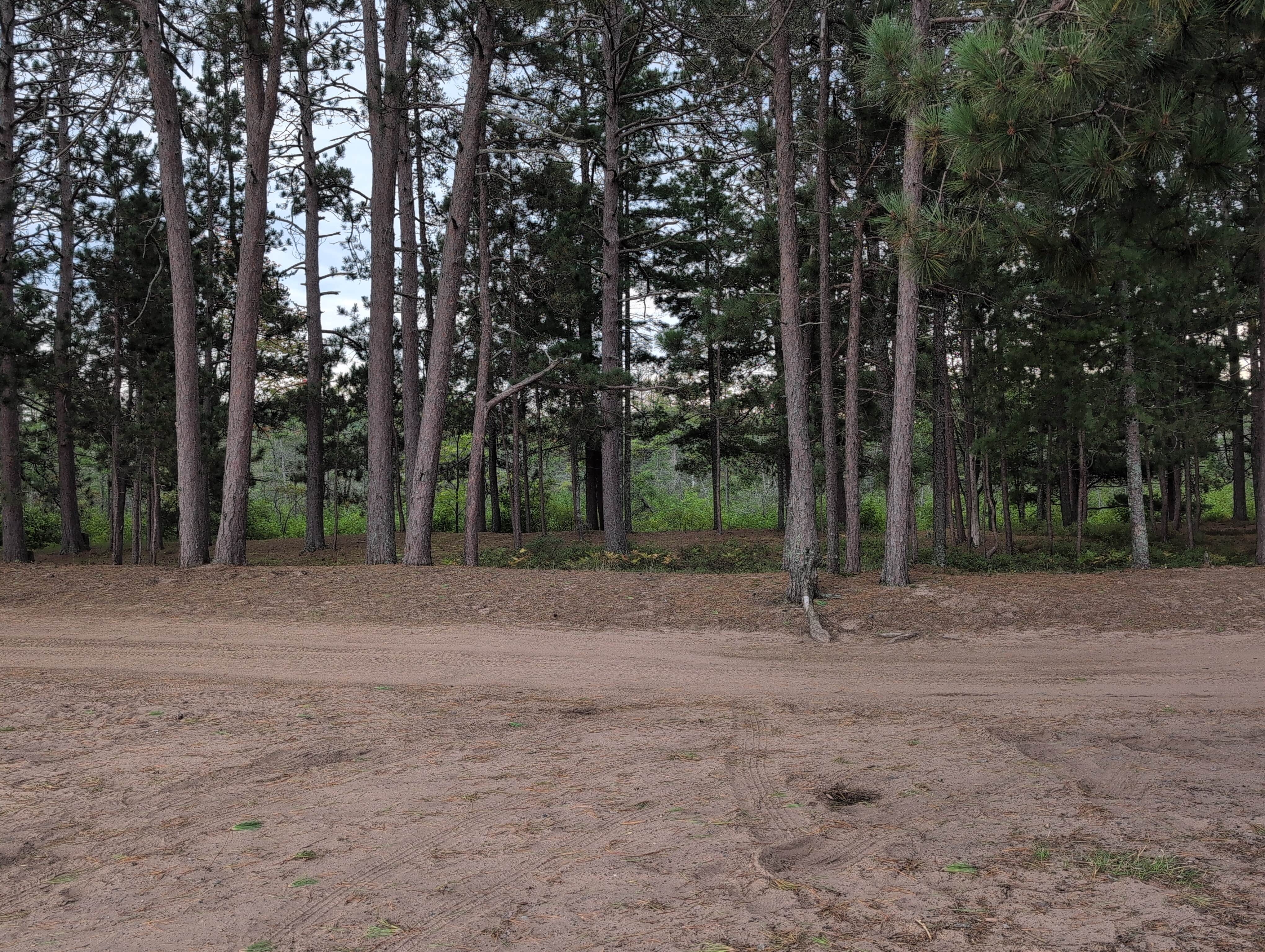 Camper-submitted photo at Mouth of the Huron Dispersed Camping near Hubbell, MI
