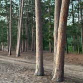 Review photo of Mouth of the Huron Dispersed Camping by Gayle B., August 17, 2026