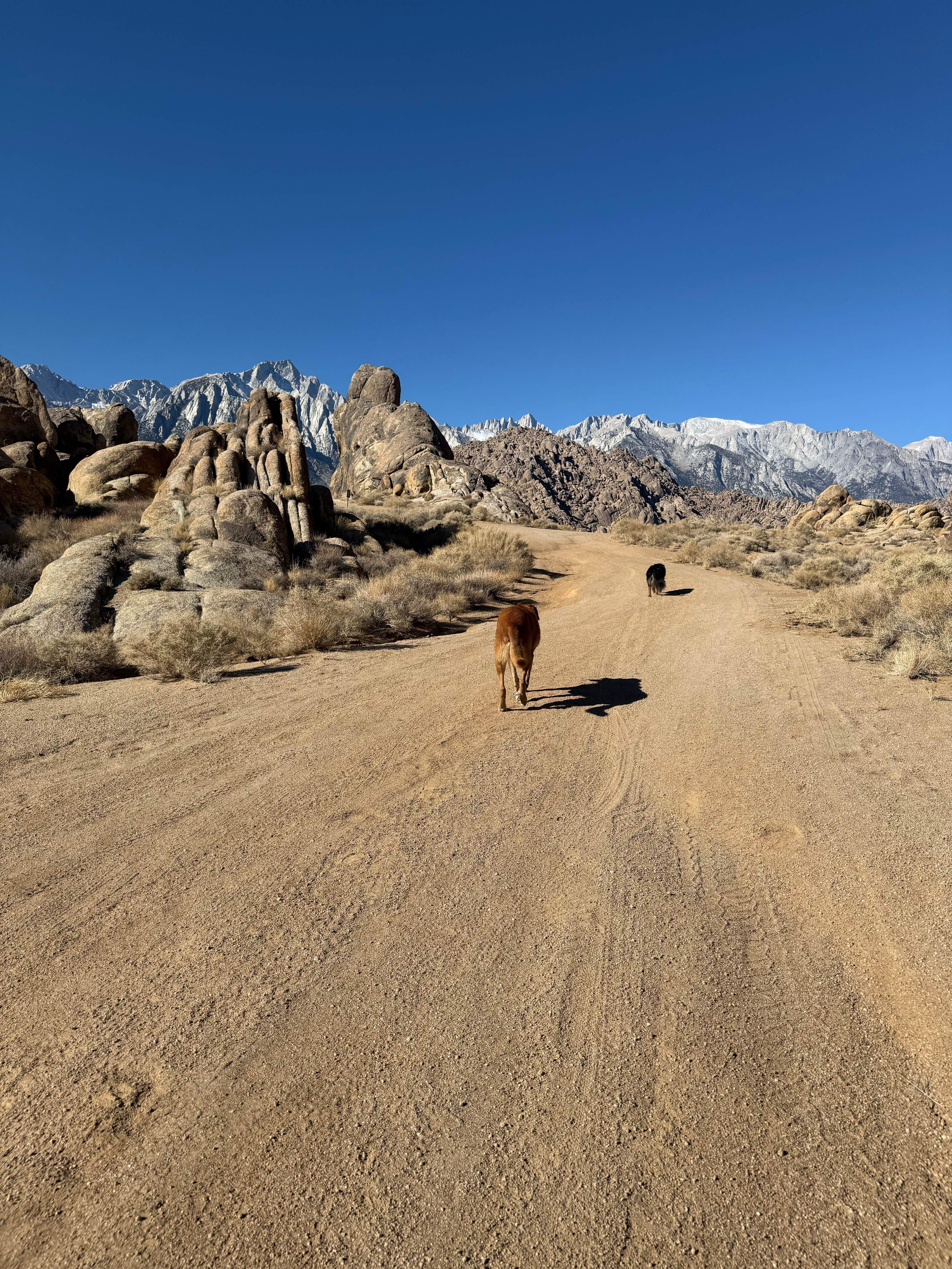 Camper-submitted photo at Movie Road/Alabama Hills Dispersed Camping near Alabama Hills, CA