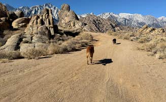 Anna R.'s photo of camping with pets at Movie Road/Alabama Hills Dispersed Camping near Lone Pine, CA