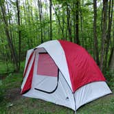 Review photo of Mt. Davis Division Campsite — Forbes State Forest by Maura R., May 31, 2026