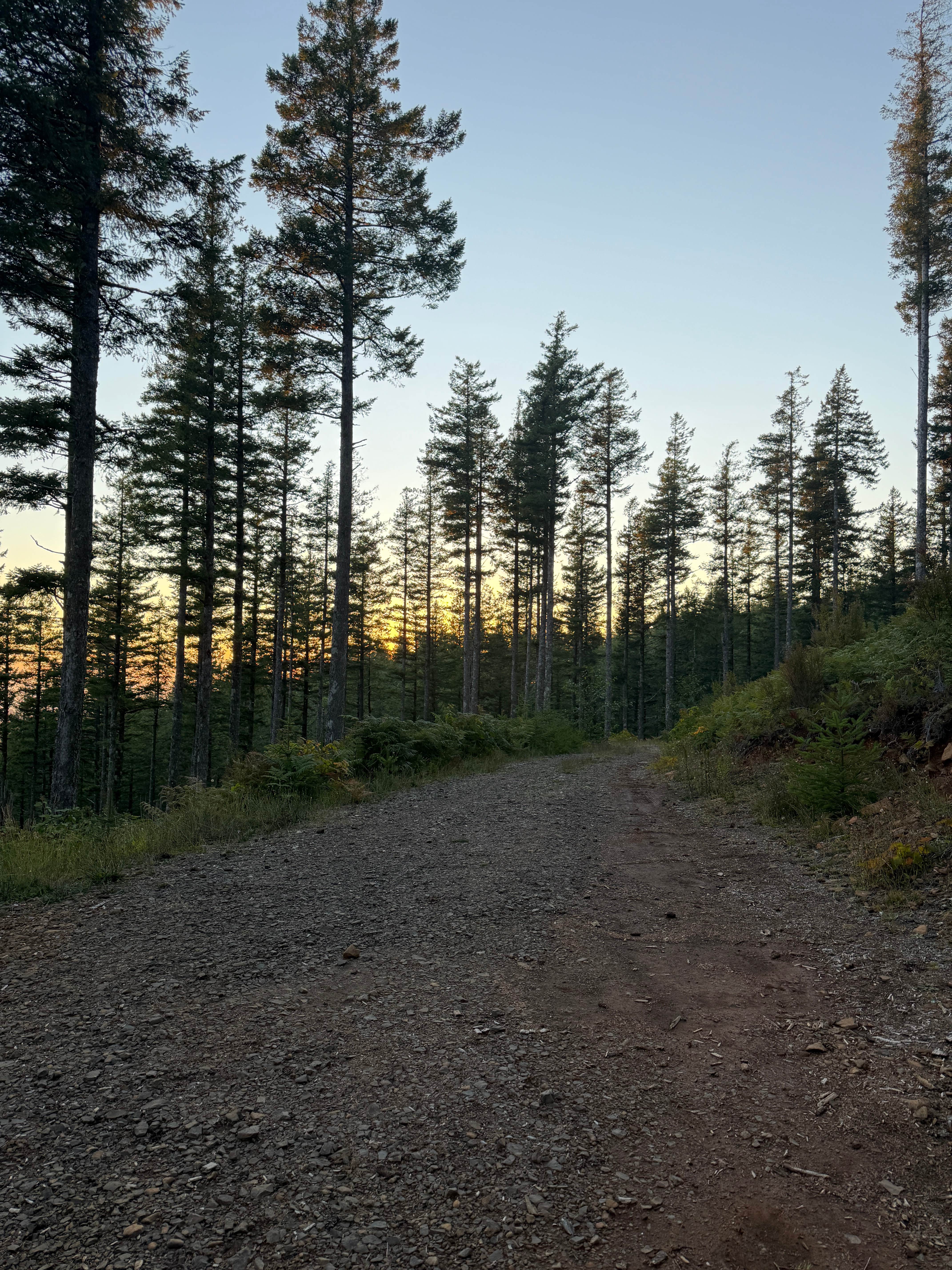 Camper-submitted photo at Mt.Hebo - Winnie’s Point near Netarts, OR
