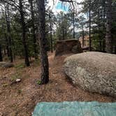 Review photo of Mt. Herman Road Dispersed Site 2 by Sarah F., July 10, 2026