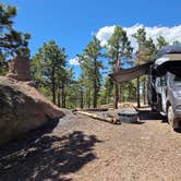 Review photo of Mt. Herman Road Dispersed Site 2 by wayne H., June 18, 2026