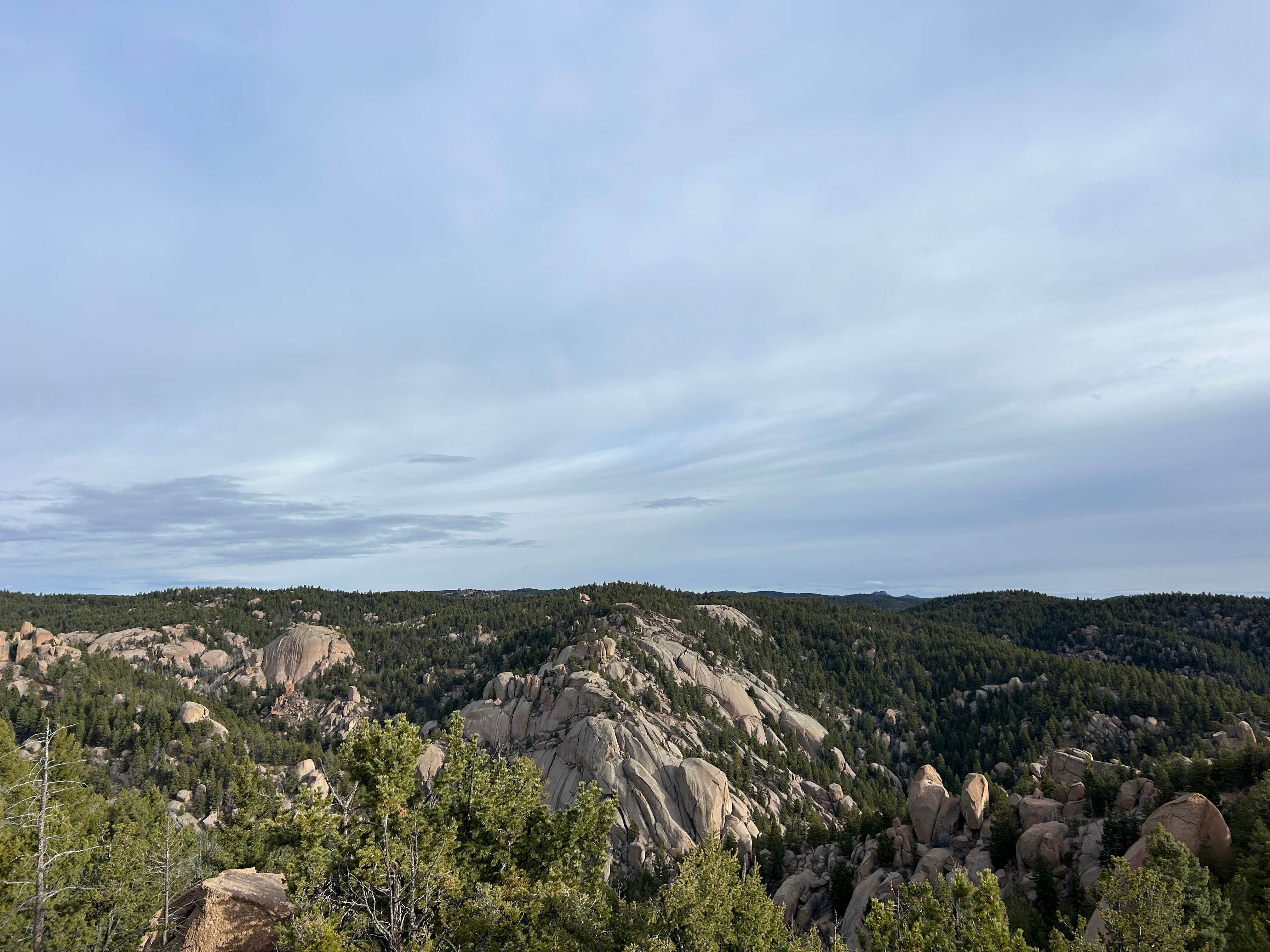 Camper-submitted photo at Mt. Herman Road Dispersed Site 2 near Watkins, CO