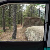 Review photo of Mt. Herman Road Dispersed Site 2 by Sarah F., July 10, 2026