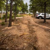 Review photo of Mt. Herman Road Dispersed Site 2 by Sarah F., July 10, 2026