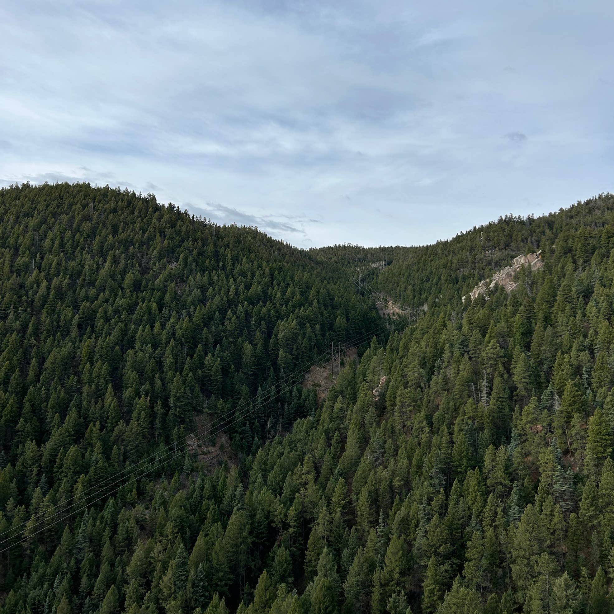 Mt. Herman Road Dispersed Site 2 Camping Palmer Lake, CO