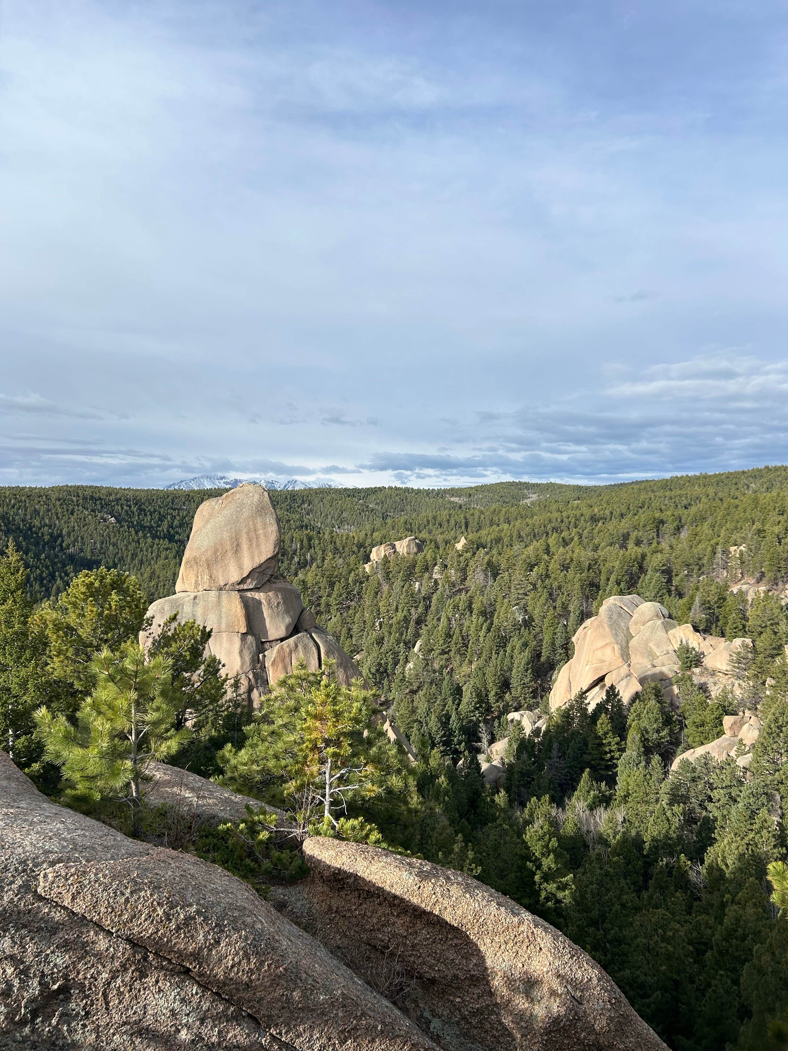 Camper-submitted photo at Mt. Herman Road Dispersed Site 2 near Watkins, CO