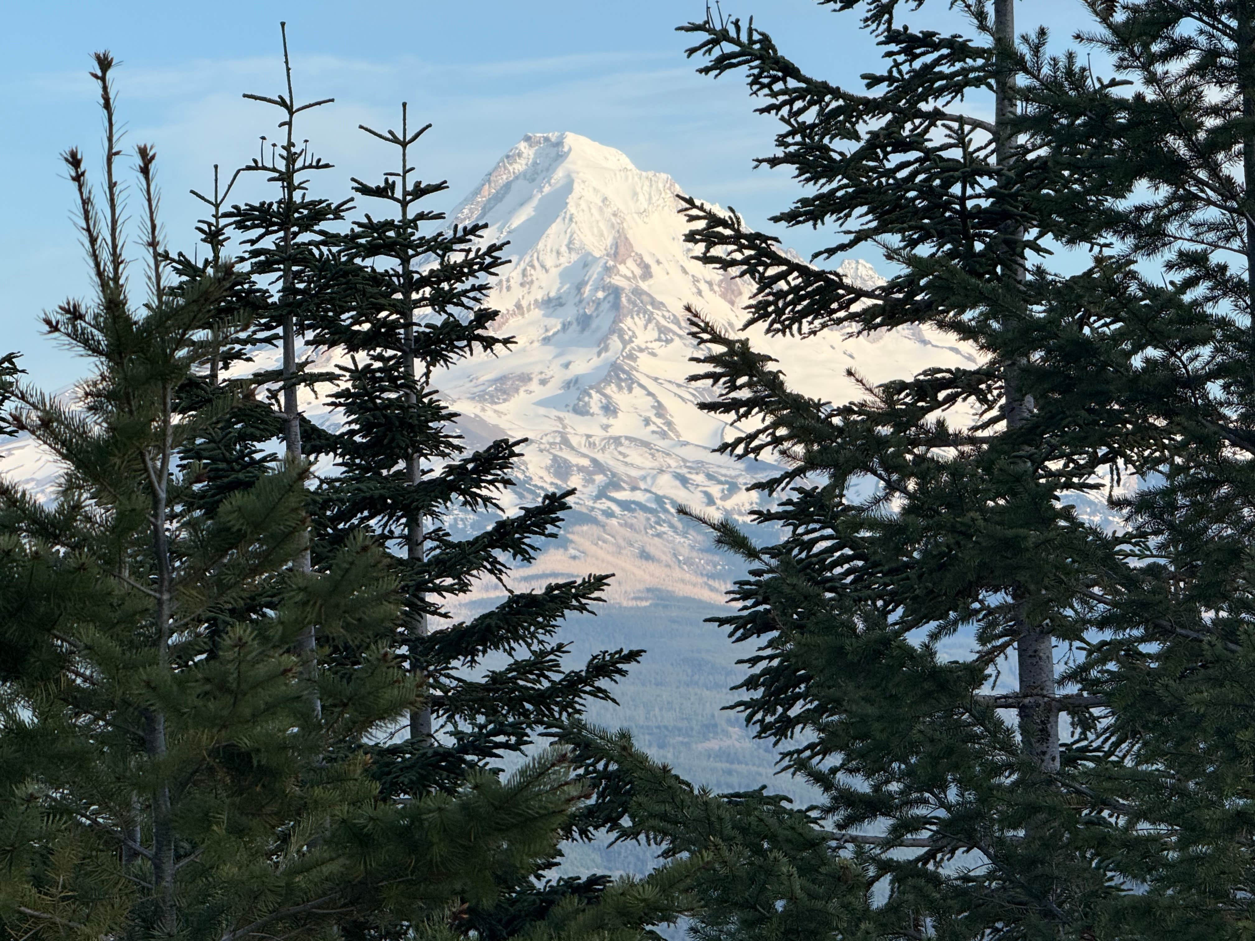 Camper-submitted photo at mt hood national forest dispersed camping near Corbett, OR