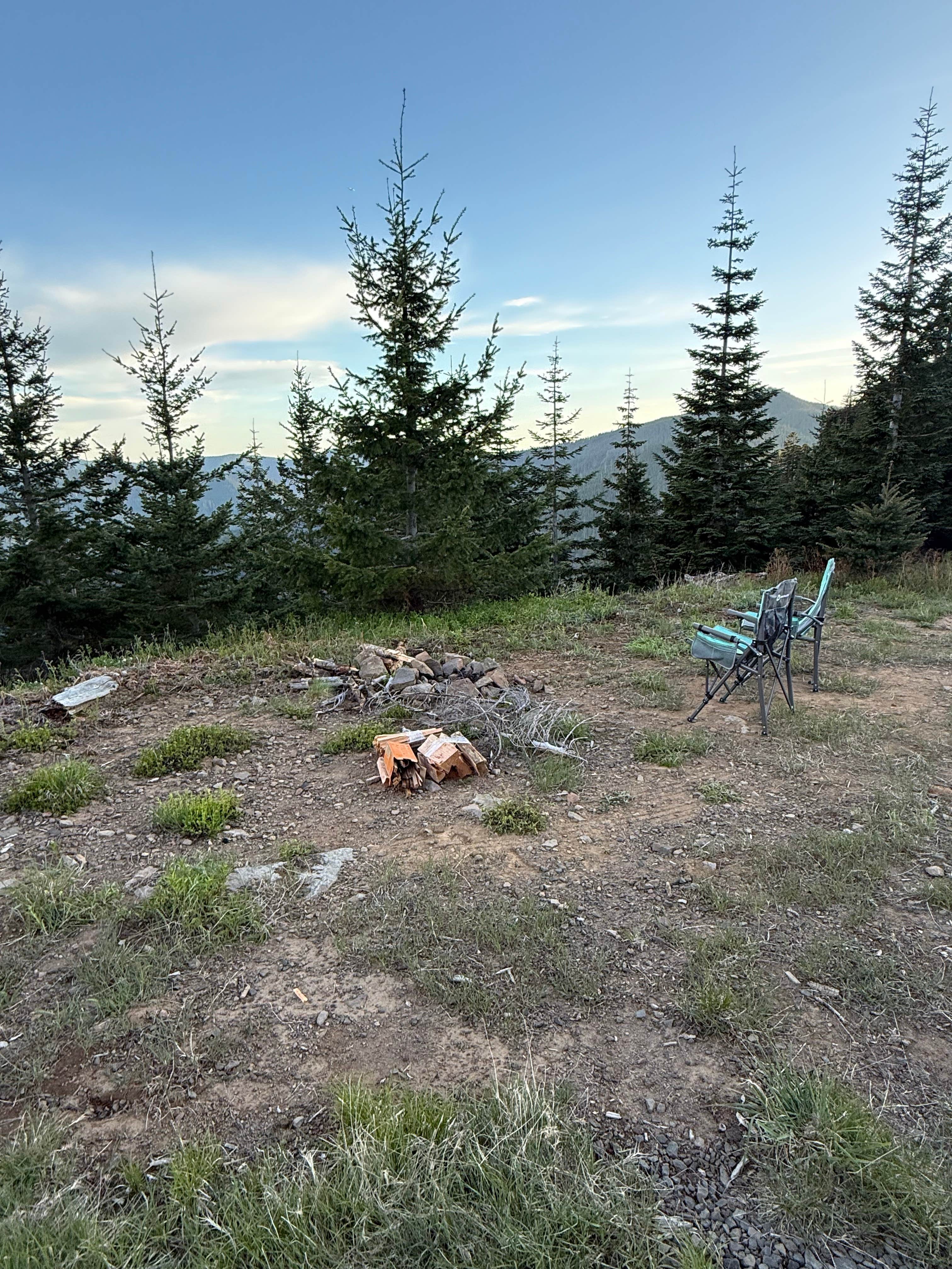 Camper-submitted photo at mt hood national forest dispersed camping near Corbett, OR
