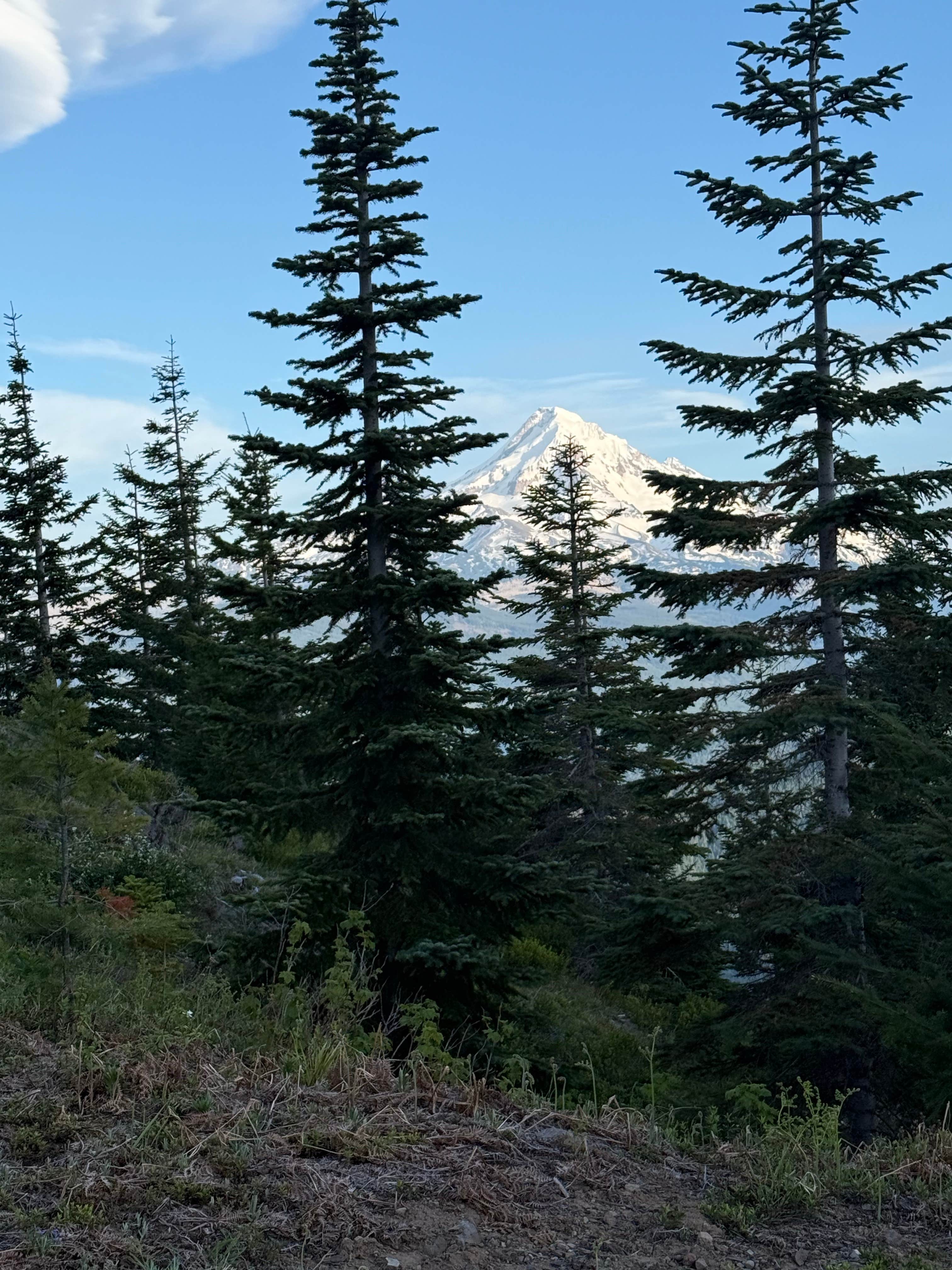 Camper-submitted photo at mt hood national forest dispersed camping near Corbett, OR