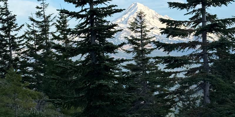 Camper submitted image from mt hood national forest dispersed camping