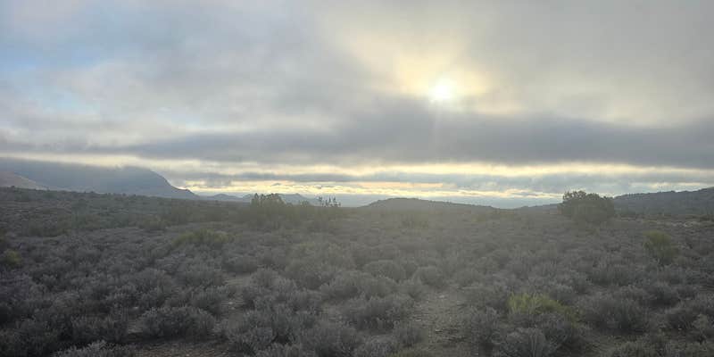 Camper submitted image from Mt Irish Campsite
