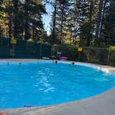 Review photo of Mt. Lassen-Shingletown KOA by Erika L., June 30, 2025