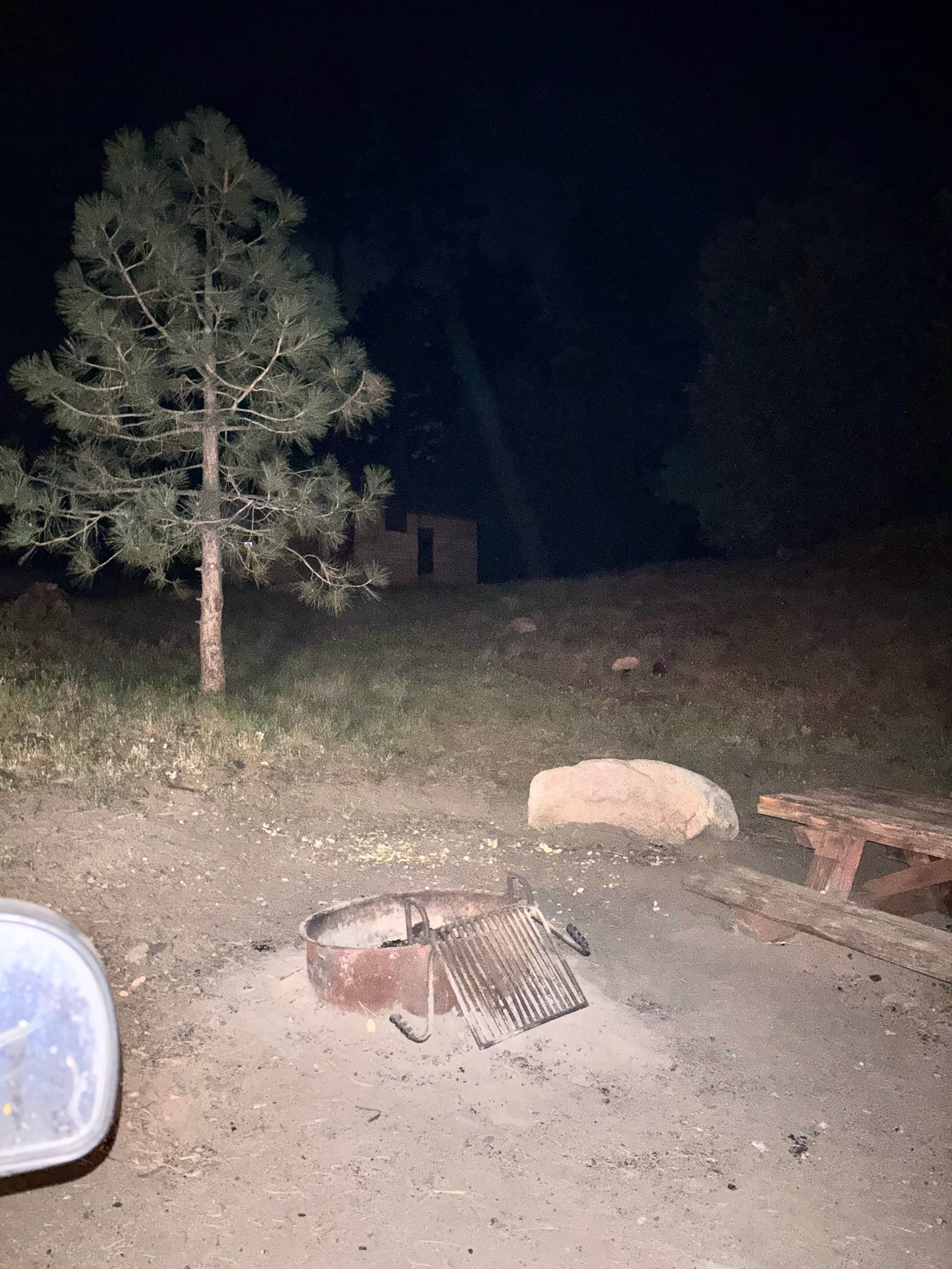 Camper-submitted photo at Mt. Palomar North Side Area near Rancho Santa Fe, CA