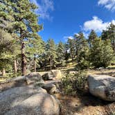 Review photo of Mt. Palomar North Side Area by Winter T., April 13, 2026