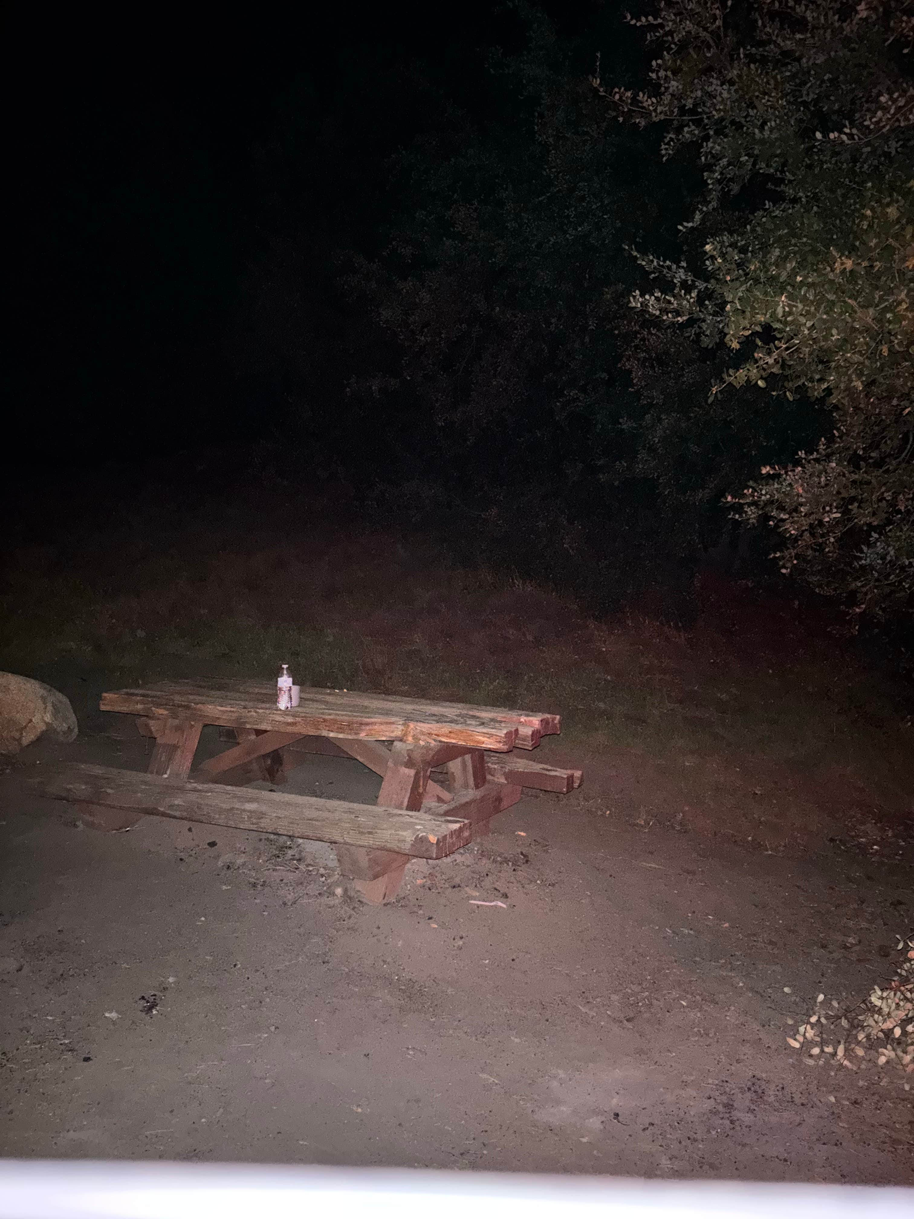 Camper-submitted photo at Mt. Palomar North Side Area near Rancho Santa Fe, CA