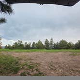 Review photo of Mt. Roosevelt Dispersed Camping by Milo D., June 12, 2025