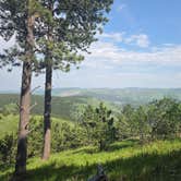 Review photo of Mt. Roosevelt Dispersed Camping by Milo D., June 12, 2025