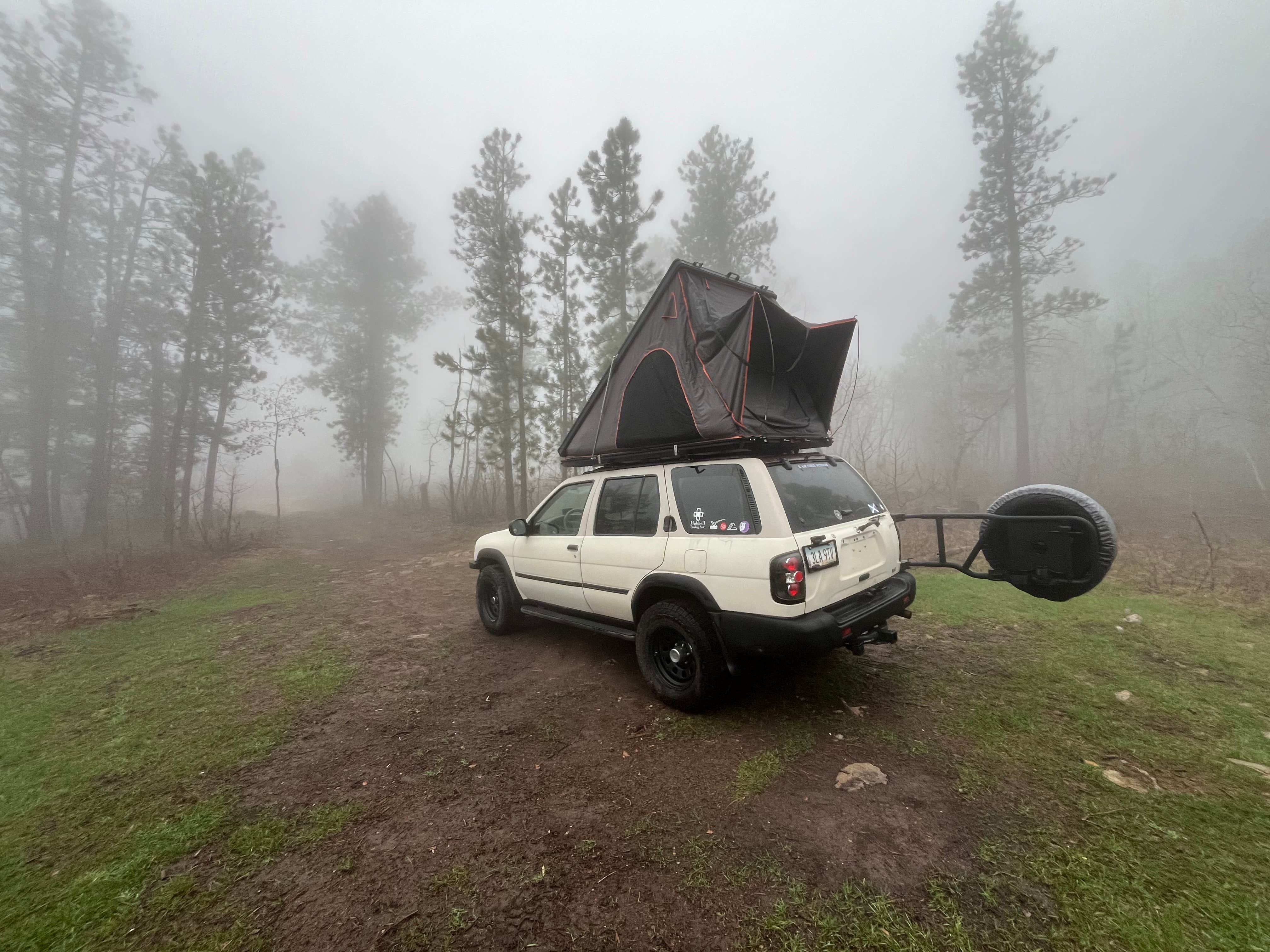 Mt. Roosevelt Dispersed Camping