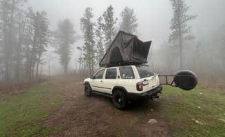 Taz G.'s photo at Mt. Roosevelt Dispersed Camping near Spearfish, SD