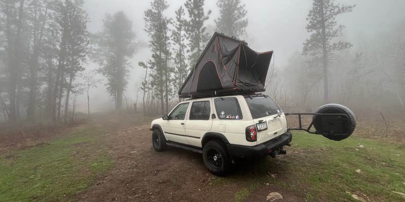 Camper submitted image from Mt. Roosevelt Dispersed Camping